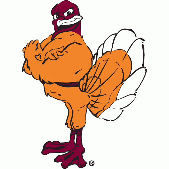Virginia Tech Hokies 2000-Pres Mascot Logo diy fabric transfer